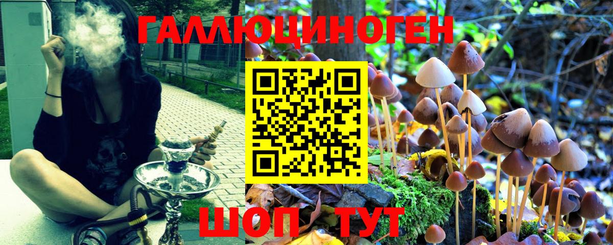 Борисоглебск  Псилоцибиновые грибы ЛСД  Вход с VPN 