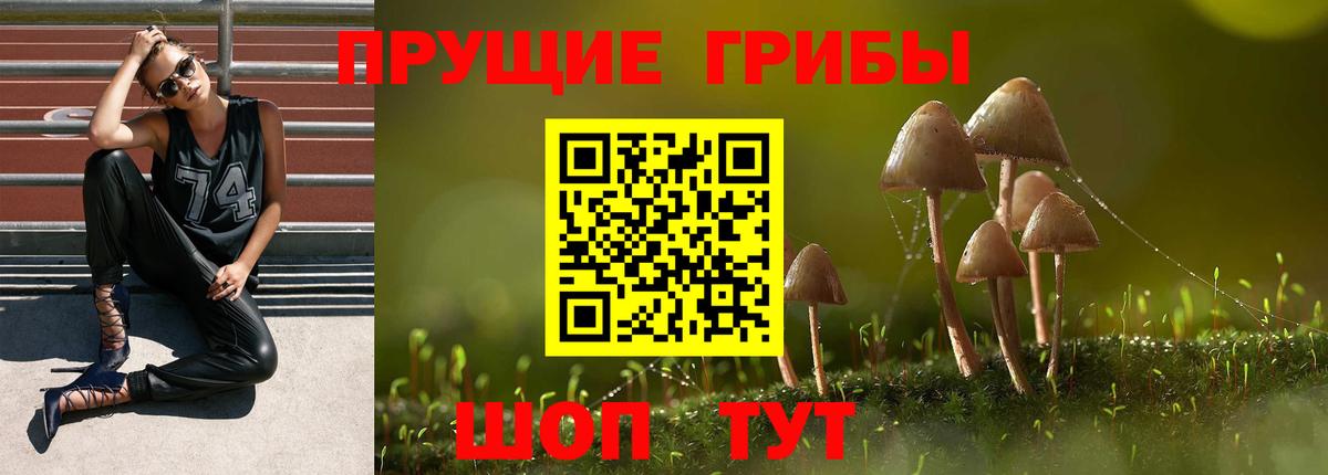 Галлюциногенные грибы MAGIC MUSHROOMS Борисоглебск